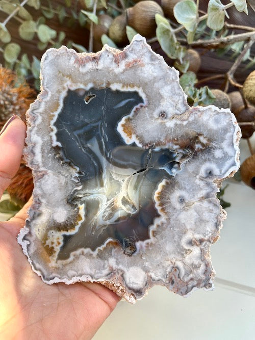 Argentinian Agate Slice