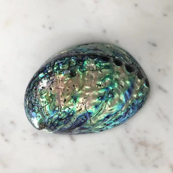 Abalone Shell Earths Geode