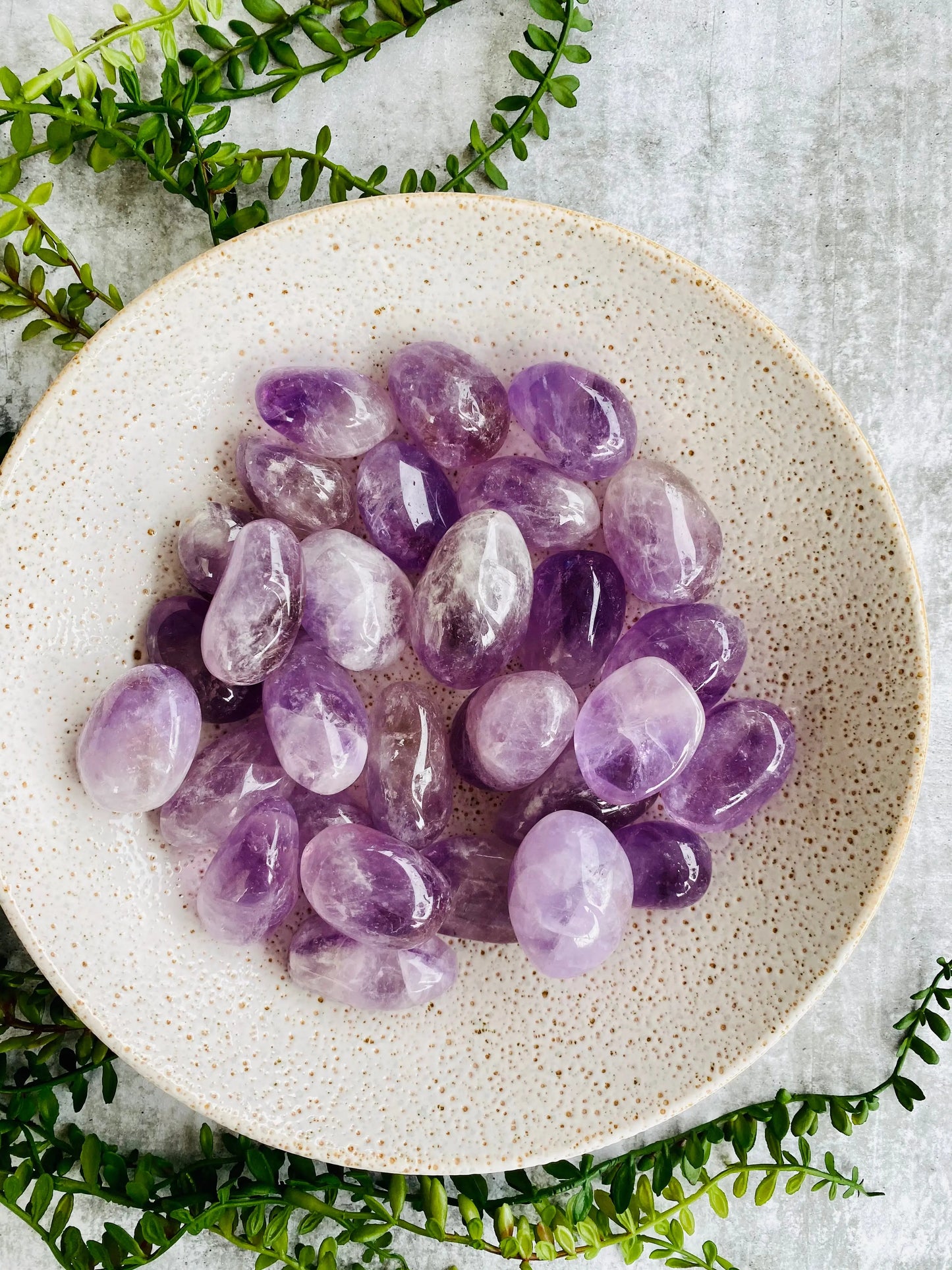 Amethyst Palm Stone Earths Geode