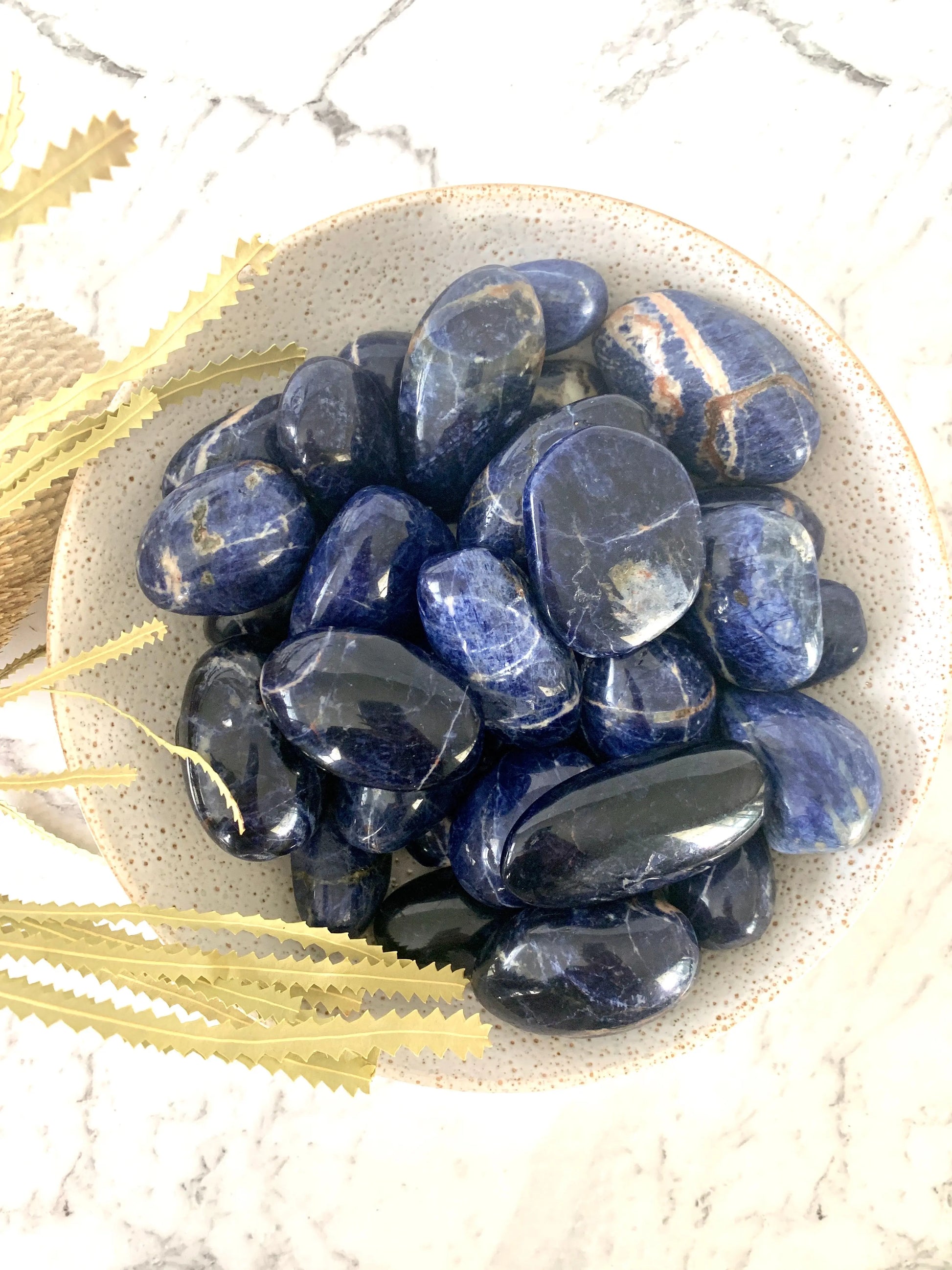 Sodalite Palm Stone Large Earths Geode
